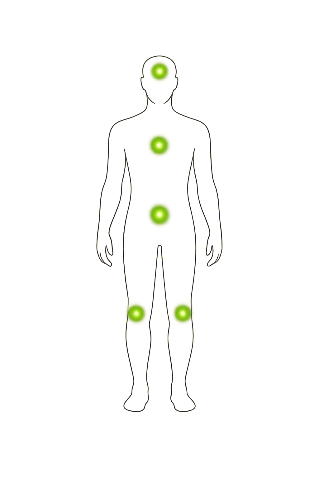 Anatomical diagram: endocannabinoid system touchpoints — brain, gut, nervous system, joints, skin, sleep regulation